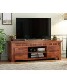 Adolph Sheesham Wood Tv Unit with Open & Close Storage 